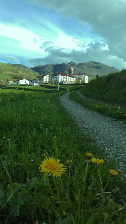 Casa Rural Aldekoa Ziga Exteriör bild